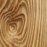HolzLebensj